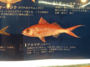 fishes_002